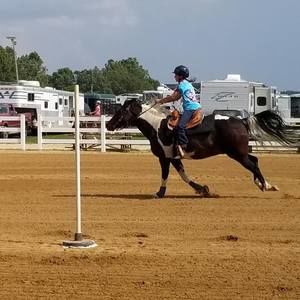 Meet your Posher, Abby